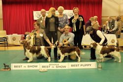 Jan Show 2015 BIS Winners